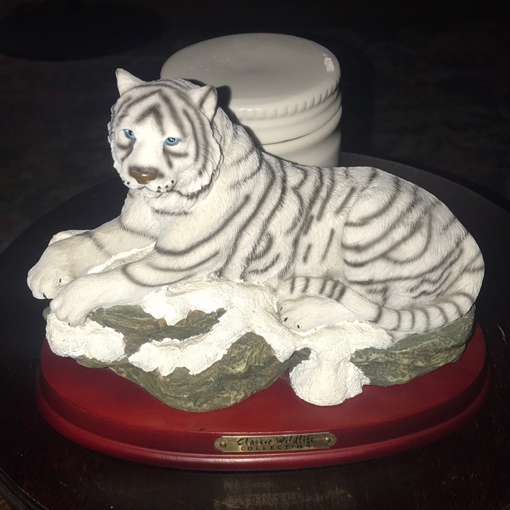 White Striped Tiger ~ Classic Wildlife Collection